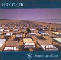 A Momentary Lapse Of Reason