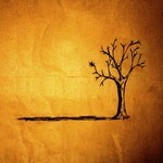 jonforeman_fall_150