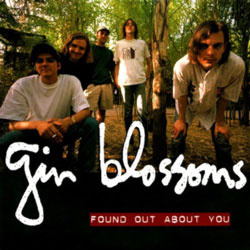 ginblossoms_foundoutaboutyou_250