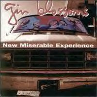 ginblossoms_new