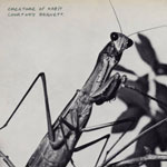 courtneybarnett_creature_150