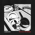labrador_rosyred_150