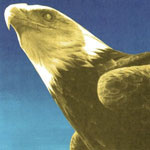protomartyr_hotelusona_150 protomartyr_hotelusona_150